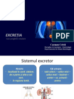 Curs 4 Simulare Excretor Endo Metab Reproduc