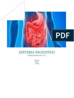 Trabajo Práctico N 5 - Sistema Digestivo