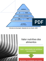 Pirâmide da alimentação