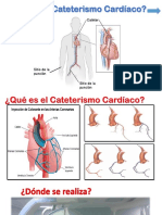 Diapositiva Pre Cate