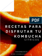 Recetario Kombucha Cítricos 