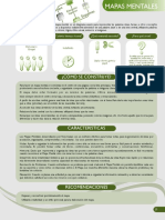 Mapas Mentales