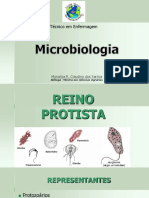 Microbiologia Aula VI Reino Protista