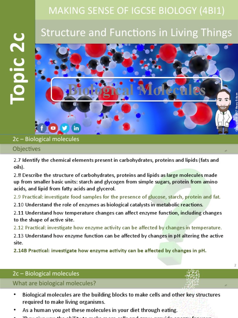 Structure and Functions in Living Things: Biological Molecules | PDF ...