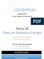 Ecologiatema18 Fluxomateriaenergia