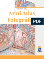 Mini Atlas Fotográfico Anatomia