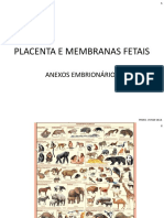 Placenta e Membranas Fetais