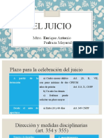 Etapa de Juicio