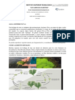 Tarea 4 de Investigacionalga Ulva