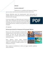 La Contaminación Ambiental