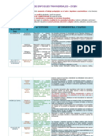 Matriz de Enfoques Transversales Cneb.