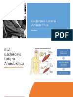 Esclerosis Lateral Amiotrófica.: Sevilla J
