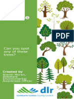 Tree Guide: Can You Spot Any of These Trees?