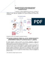 Actividades de Repaso Funciones de Nutricion Parte1