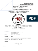 Trabajo Academico Derecho Del Ambiente y Desarrollo Sost. Firme 17jul2022