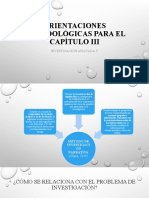 Orientaciones Metodológicas para El Capítulo Iii