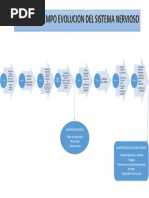 Linea Del Tiempo Evolucion Del Sistema Nervioso