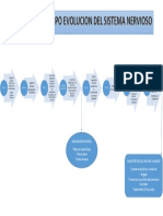 Linea Del Tiempo Evolucion Del Sistema Nervioso