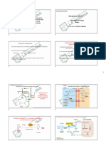 8BQ2022-I MetabLipidos 3 Síntesis Parte 3