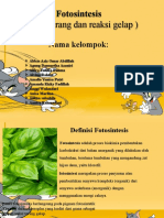 Ppt. Fotosintesis