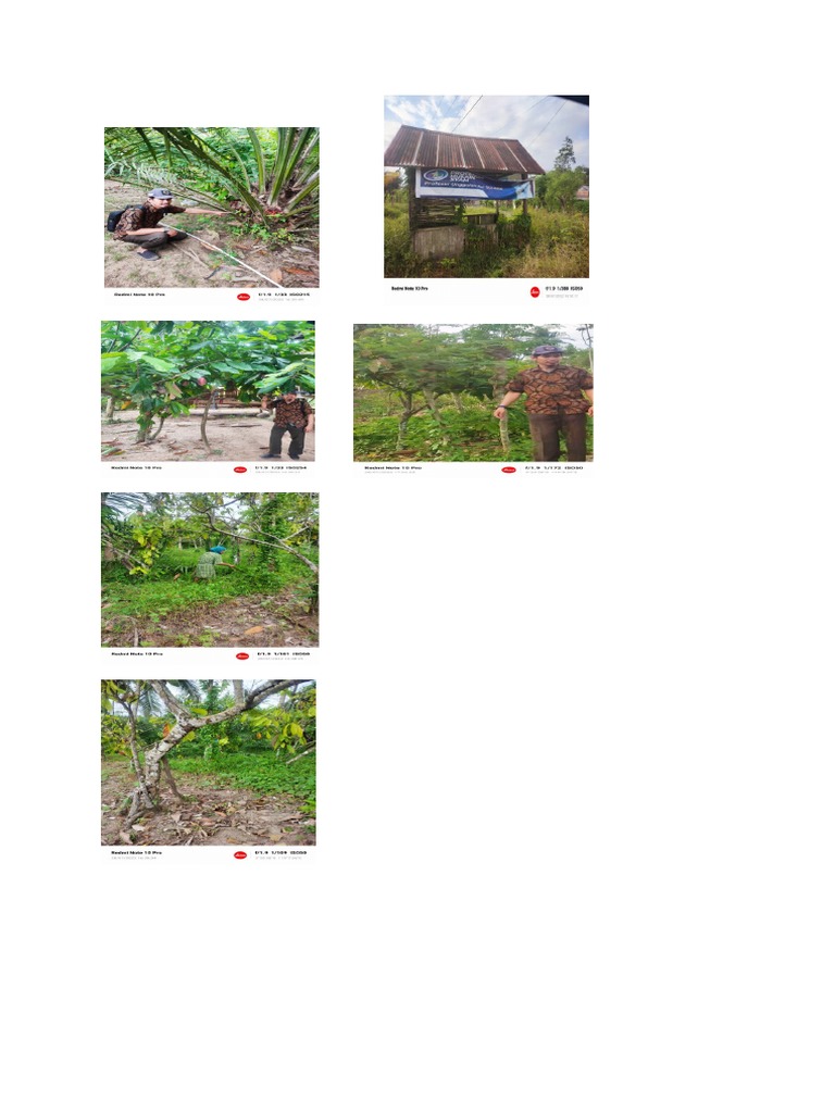 Gambar Tani Poster | PDF