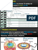 Evolución Origen Vida Alumnos 3