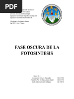 Fase Oscura de La Fotosintesis