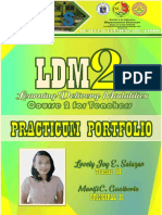 LDM Practicum-Portfolio