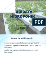 BUDIDAYA HIDROPONIK