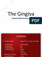 The Gingiva