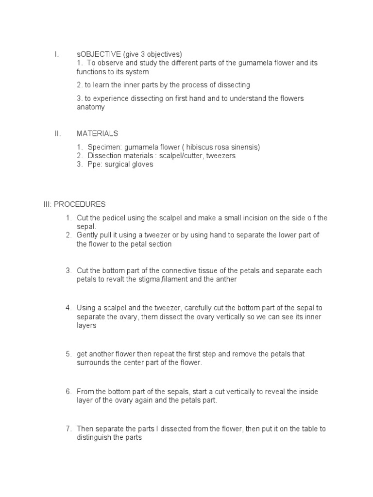 OBJECTIVE PDF Flowers Petal