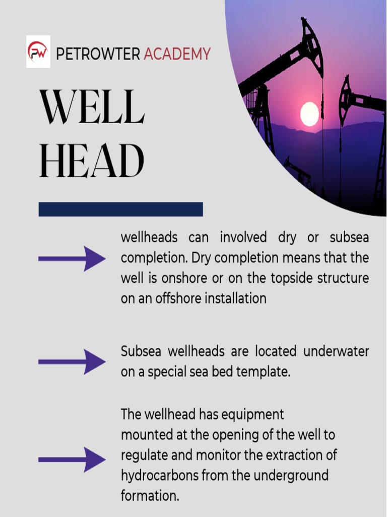 What Is The Wellhead, The Wellhead Assembly PDF Casing (Borehole