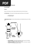 Chapter 6 Tissues: Facts That Matter Tissues