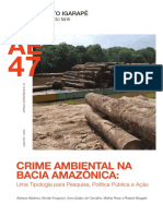 Crime-Ambiental-Amazonia-Tipologia-PT
