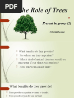 The Role of Trees: Present by Group