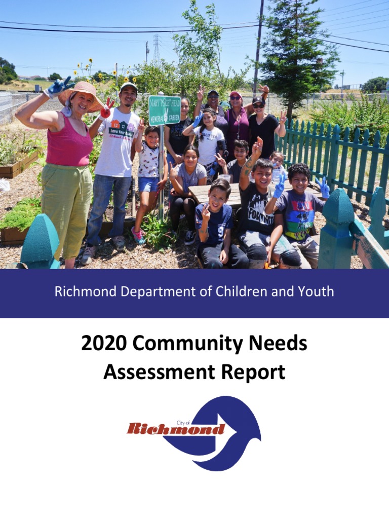 2020 Community Needs Assessment Report - 6 | PDF | Poverty Threshold ...