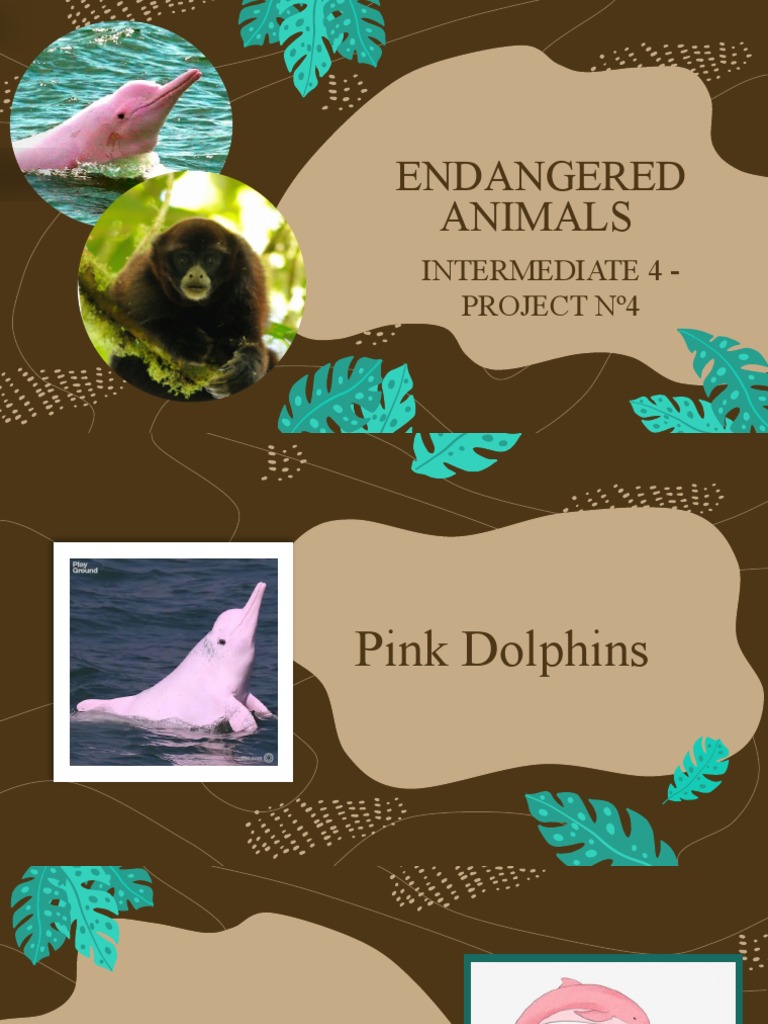 Endangered Animals: Intermediate 4 - Project Nº4 | PDF