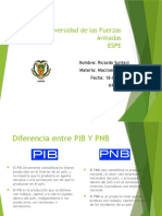 Pib y PNB