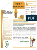 Boletin de Seguridad Nº1