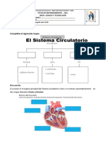 Ficha de Reforzamiento Sist. Circulatorio