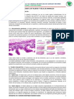 ANATOMIA Sesion 2