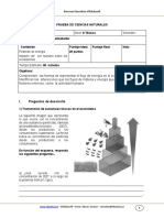 Evaluacion Sumativa Ciencias Naturales 6basico Julio 2011