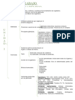 Trabajo Académico 1