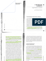 465283671 Castro 2011 Naturaleza y Ambiente PDF (1)