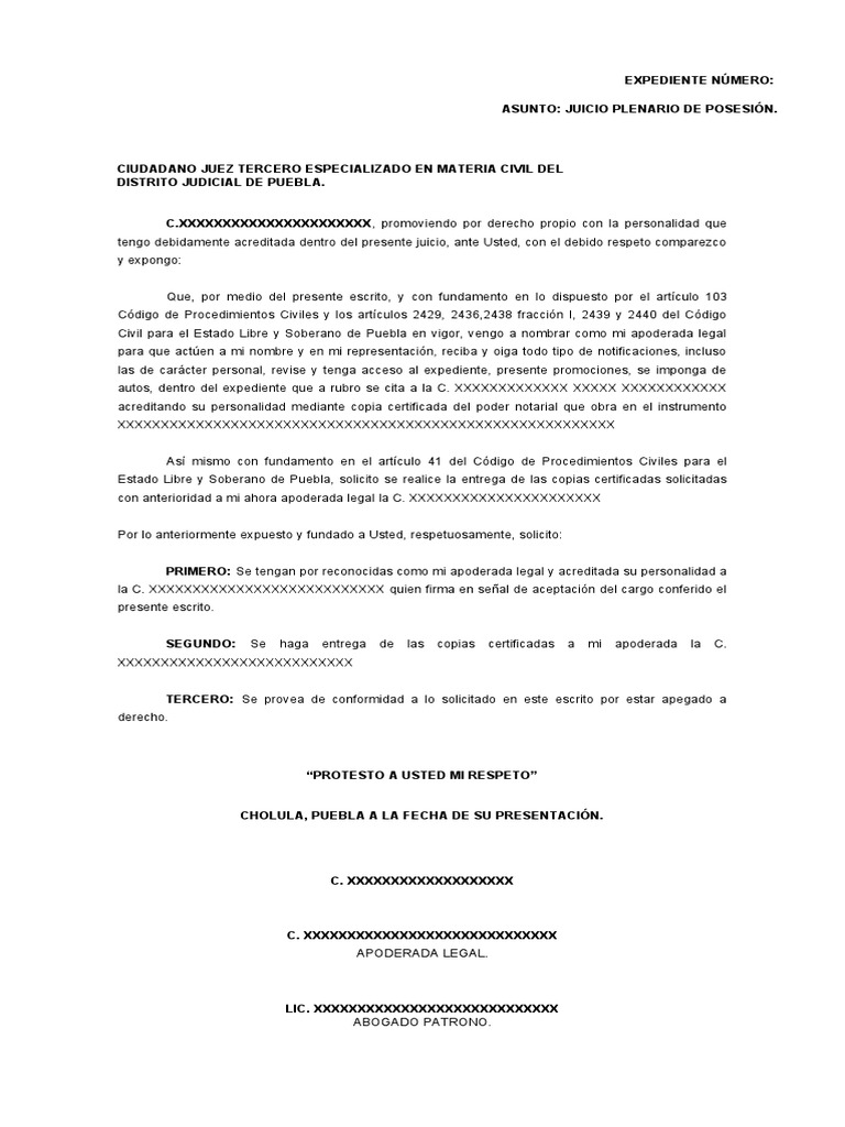 Escrito para Nombrar Apoderado Legal PDF Gobernancia Instituciones sociales