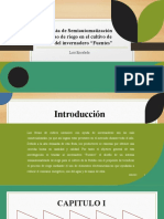 Propuesta de Semiautomatización