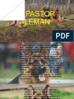 El Pastor Aleman