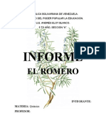 Informe Del Romero