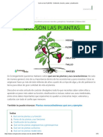 Qué Son Las PLANTAS - Definición, Función, Partes y Clasificación