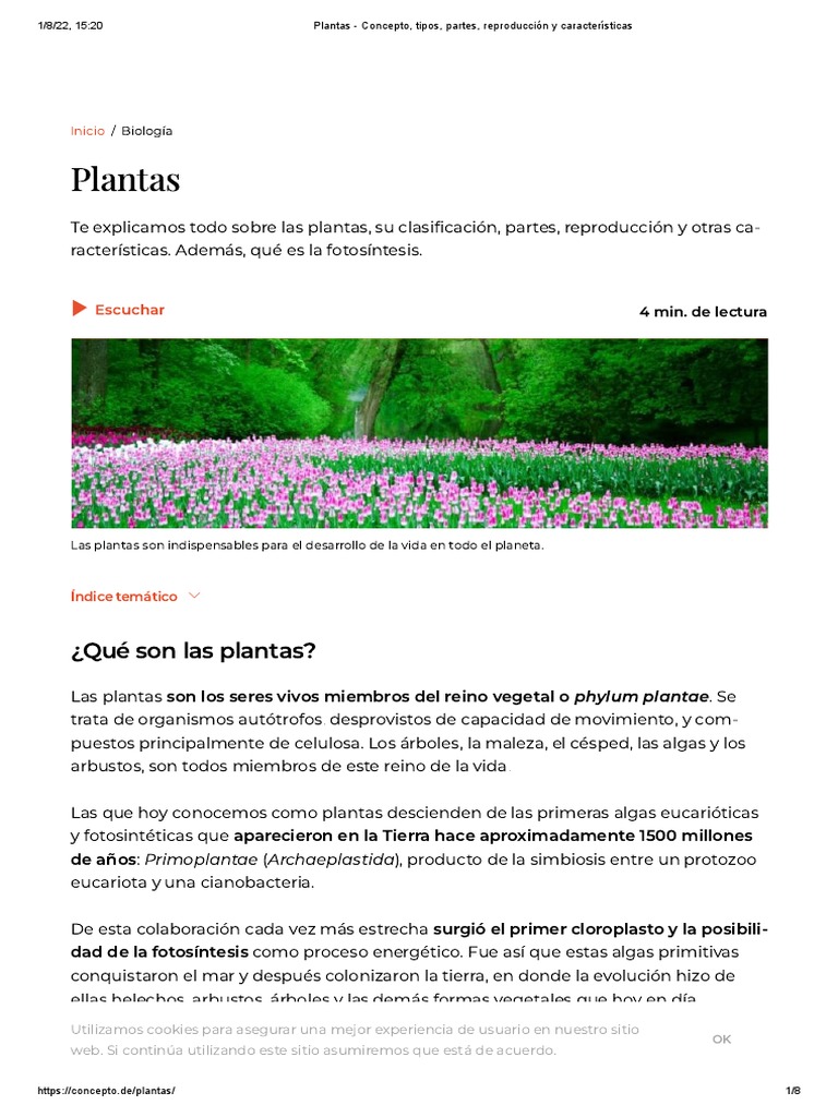 Plant visual data 3